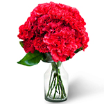 11 red carnations