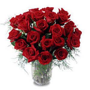 17 Red Roses