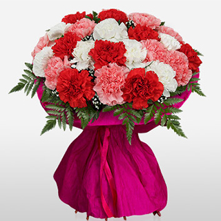 19 colorful carnations