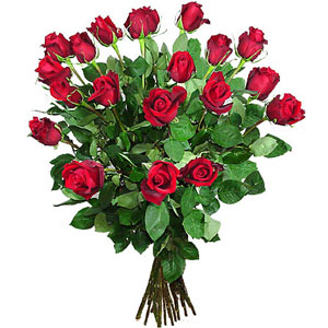 21 Red Roses