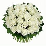 33 White Roses