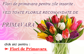 Flori de Primavara